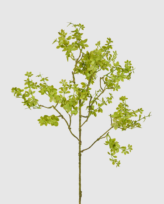 Leaf Spray