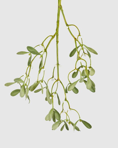 Mistletoe - Green