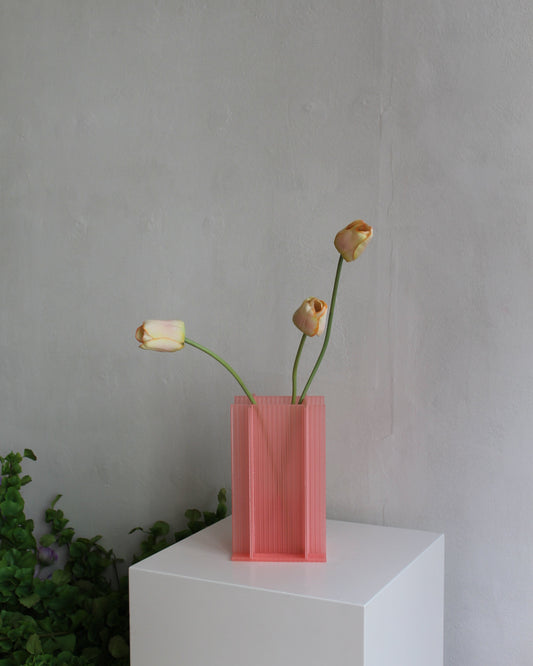 Tulip - Pink Yellow