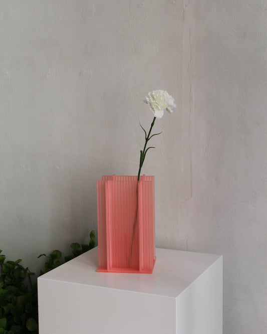 Carnation - White