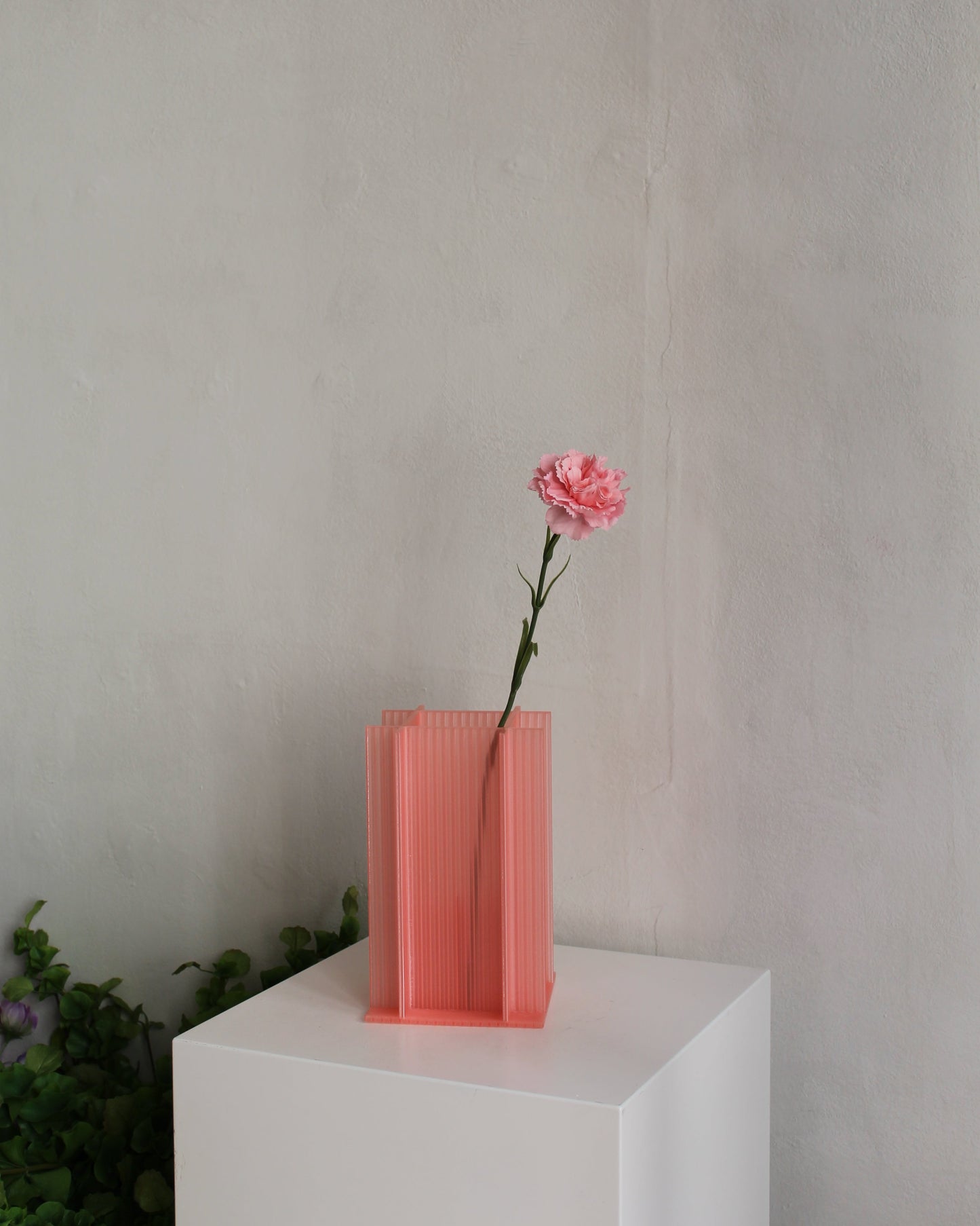 Carnation - Pink