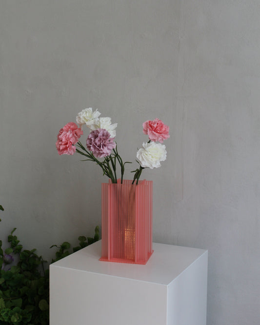 Carnation - Pink
