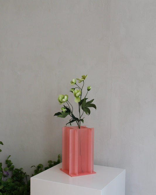 Helleborus - Green