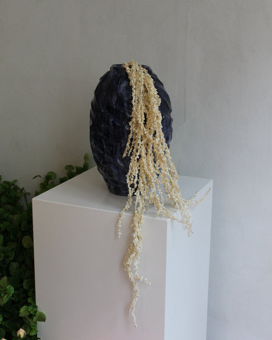 Amaranthus - Beige