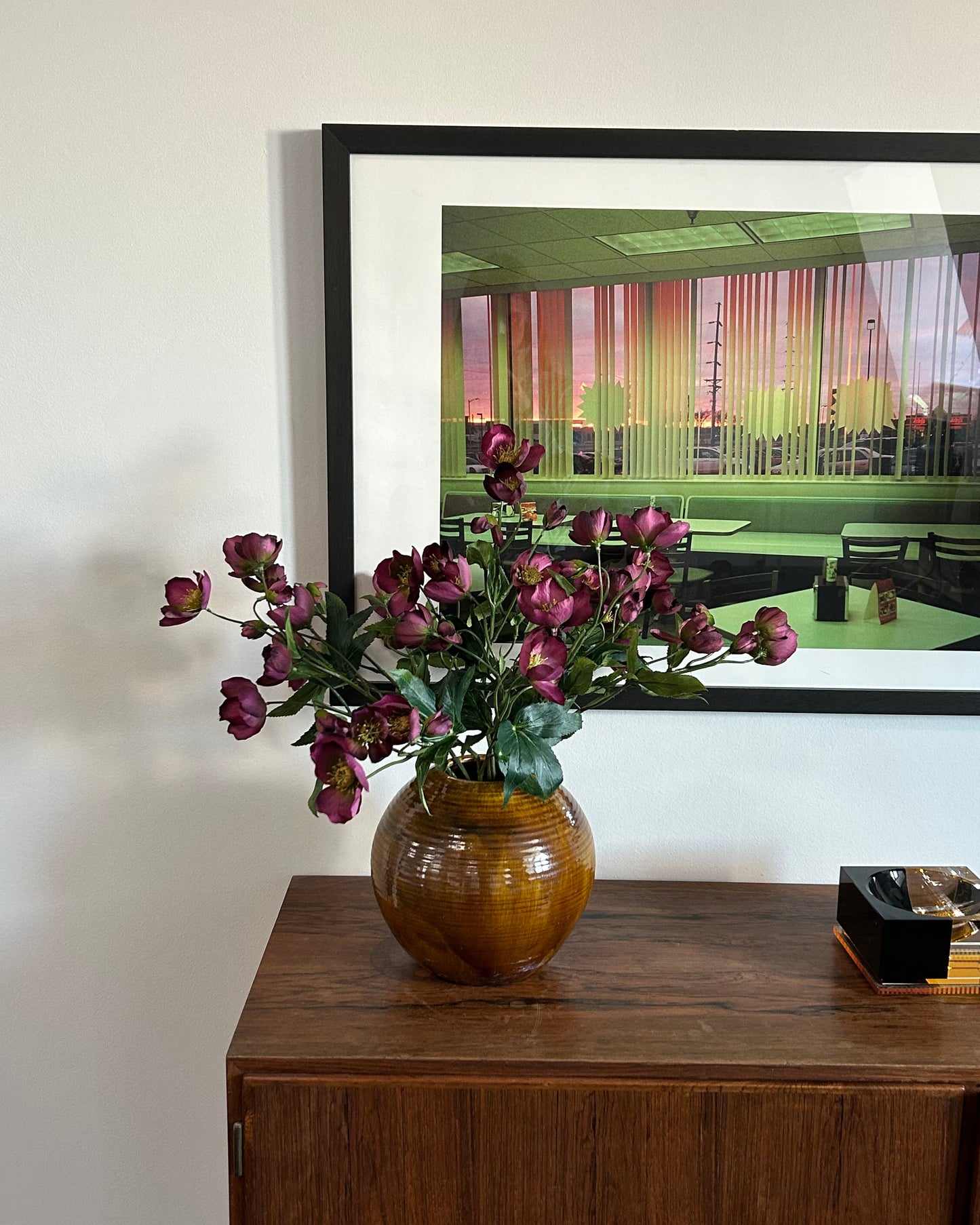 Helleborus - Bordeaux