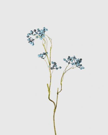BLUEBERRY