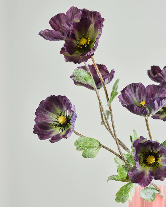 DARK PURPLE POPPY BUNDLE