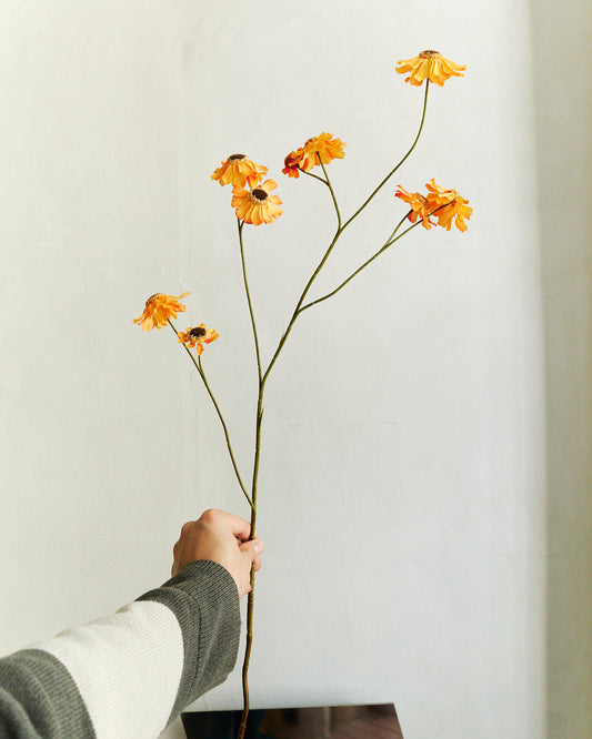 Rudbeckia Spray - Orange – held in hand