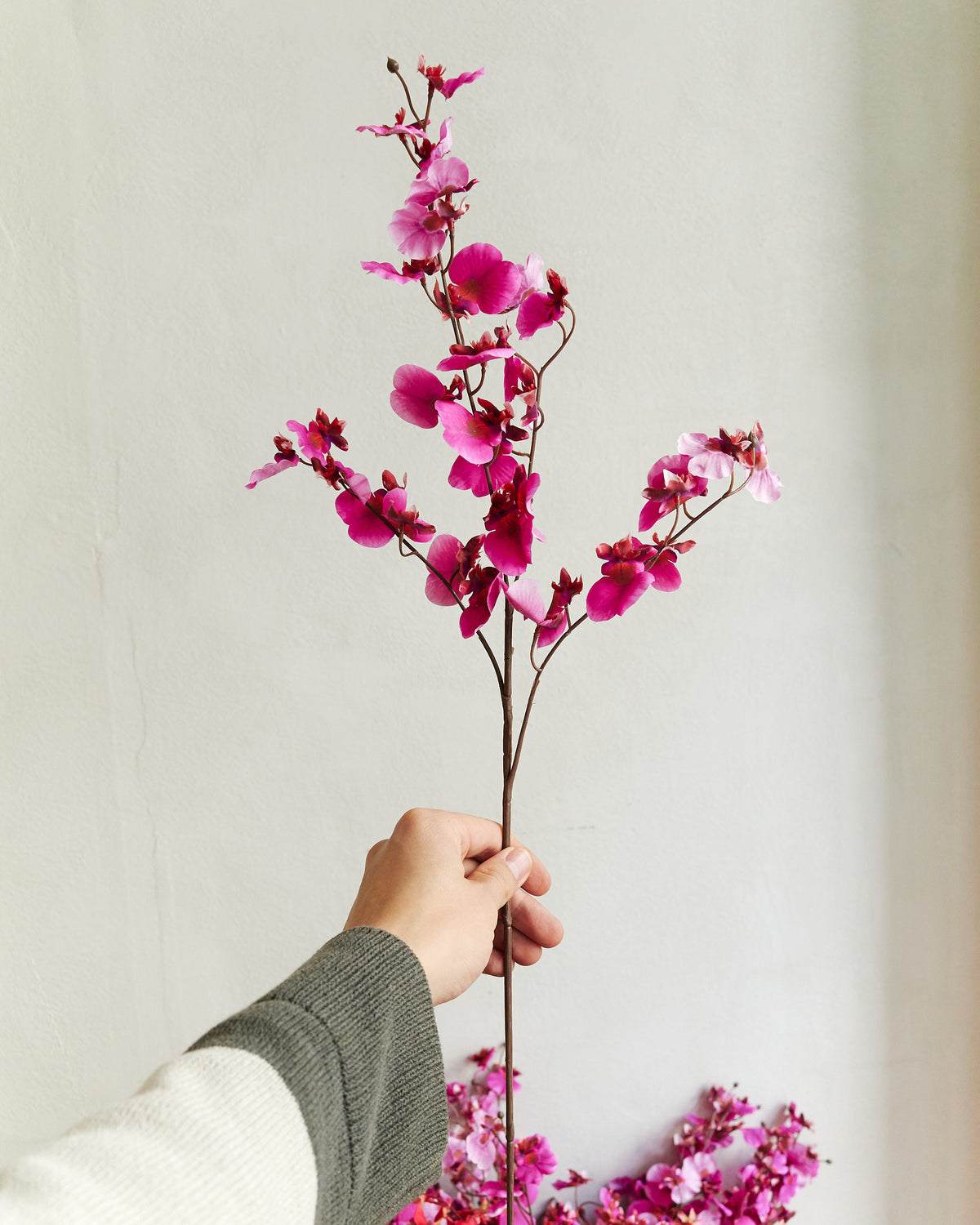 Dancing Orchid - Pink – held in hand