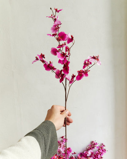 Dancing Orchid - Pink – held in hand