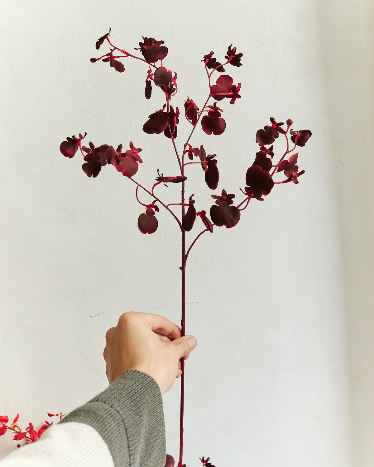Dancing Orchid - Purple – held in hand