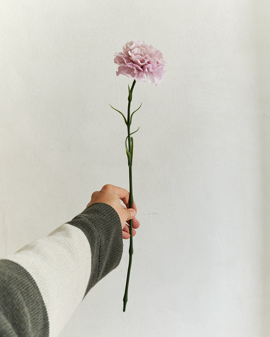 Carnation - Purple – held in hand