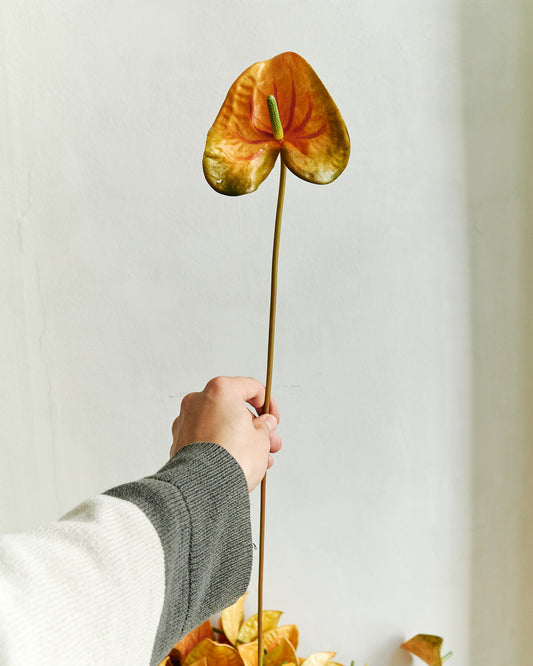 Anthurium - Orange Green – held in hand