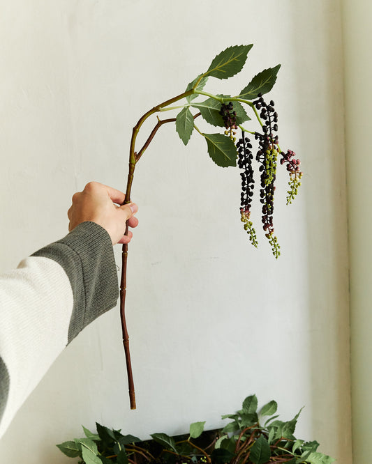 Pokeweed - Purple Black – held in hand