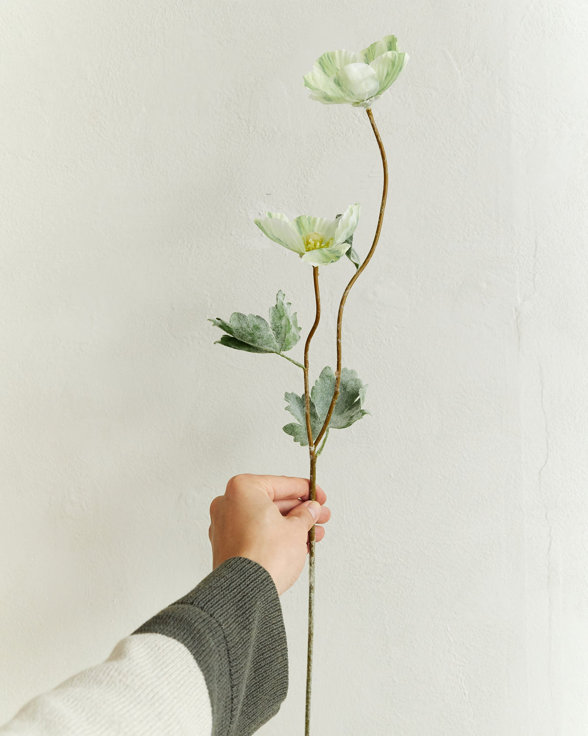 Poppy - Green – held in hand