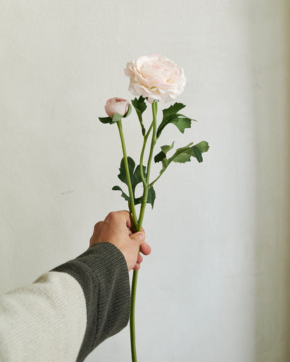Peony - Pink – held in hand