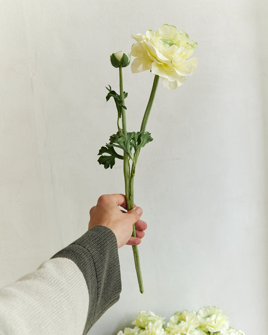 Mailangyang Peony - Green White – held in hand