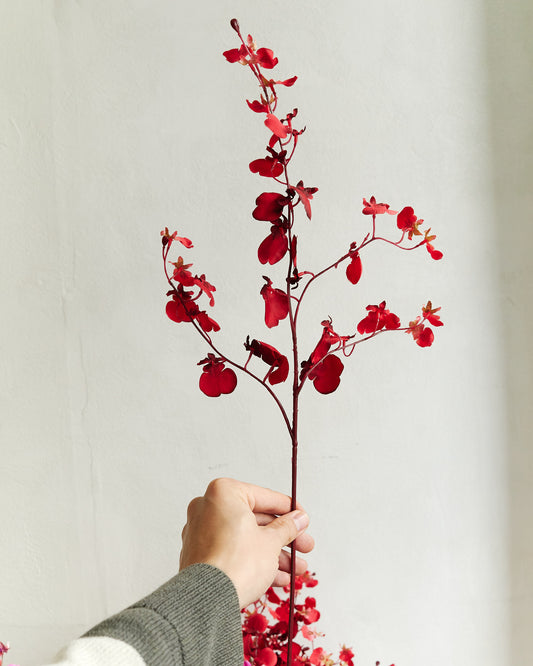 Dancing Orchid - Red – held in hand