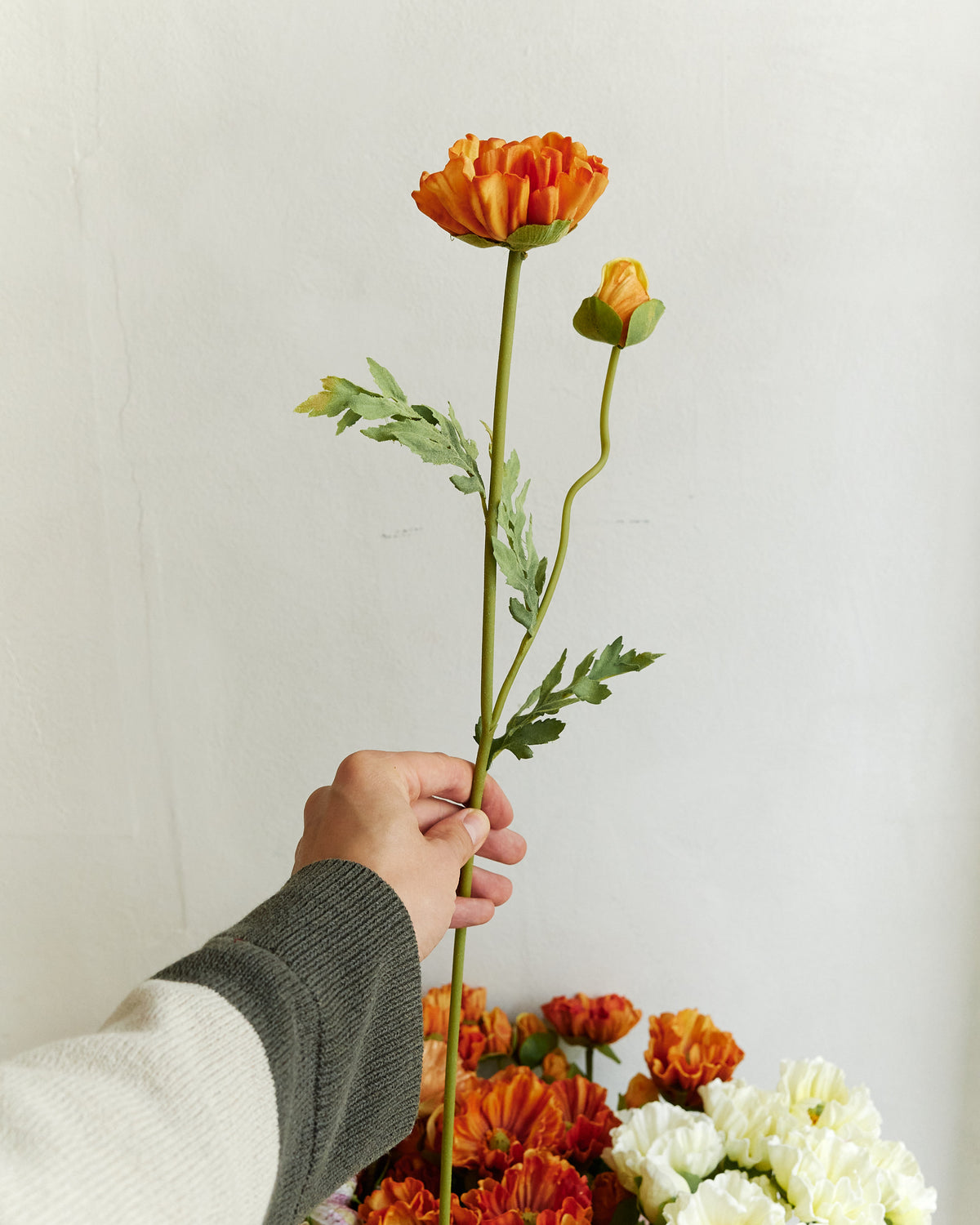 Poppy - Burned Orange – held in hand