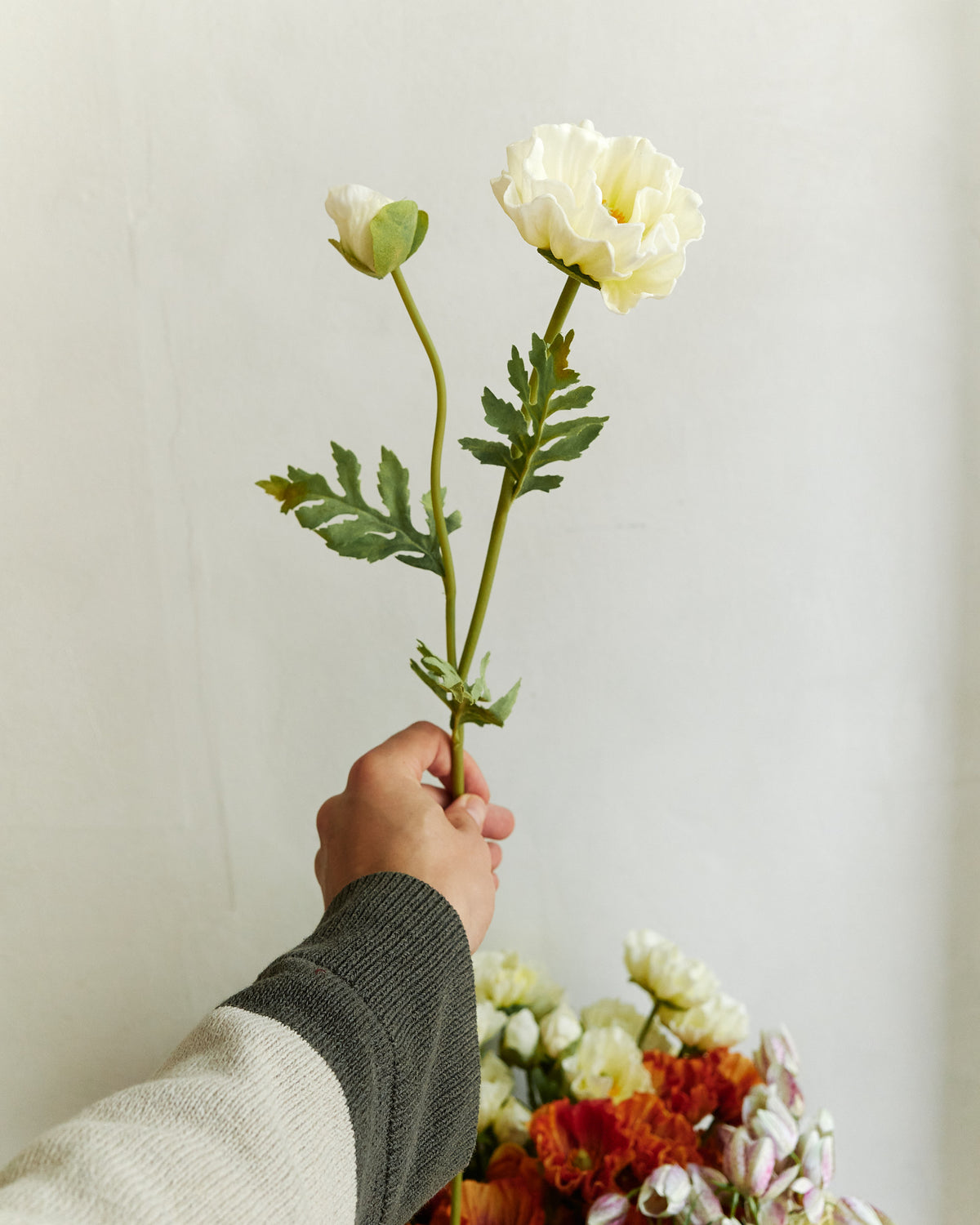 Poppy - Butter Yellow – held in hand