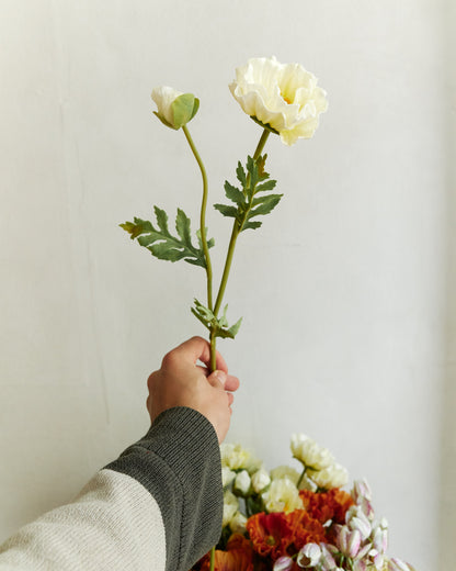 Poppy - Butter Yellow – held in hand