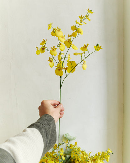 Dancing Orchid - Yellow – held in hand