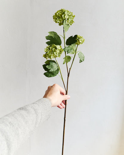 Hydrangea Branch - Green – held in hand