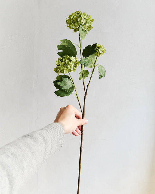 Hydrangea Branch - Green – held in hand