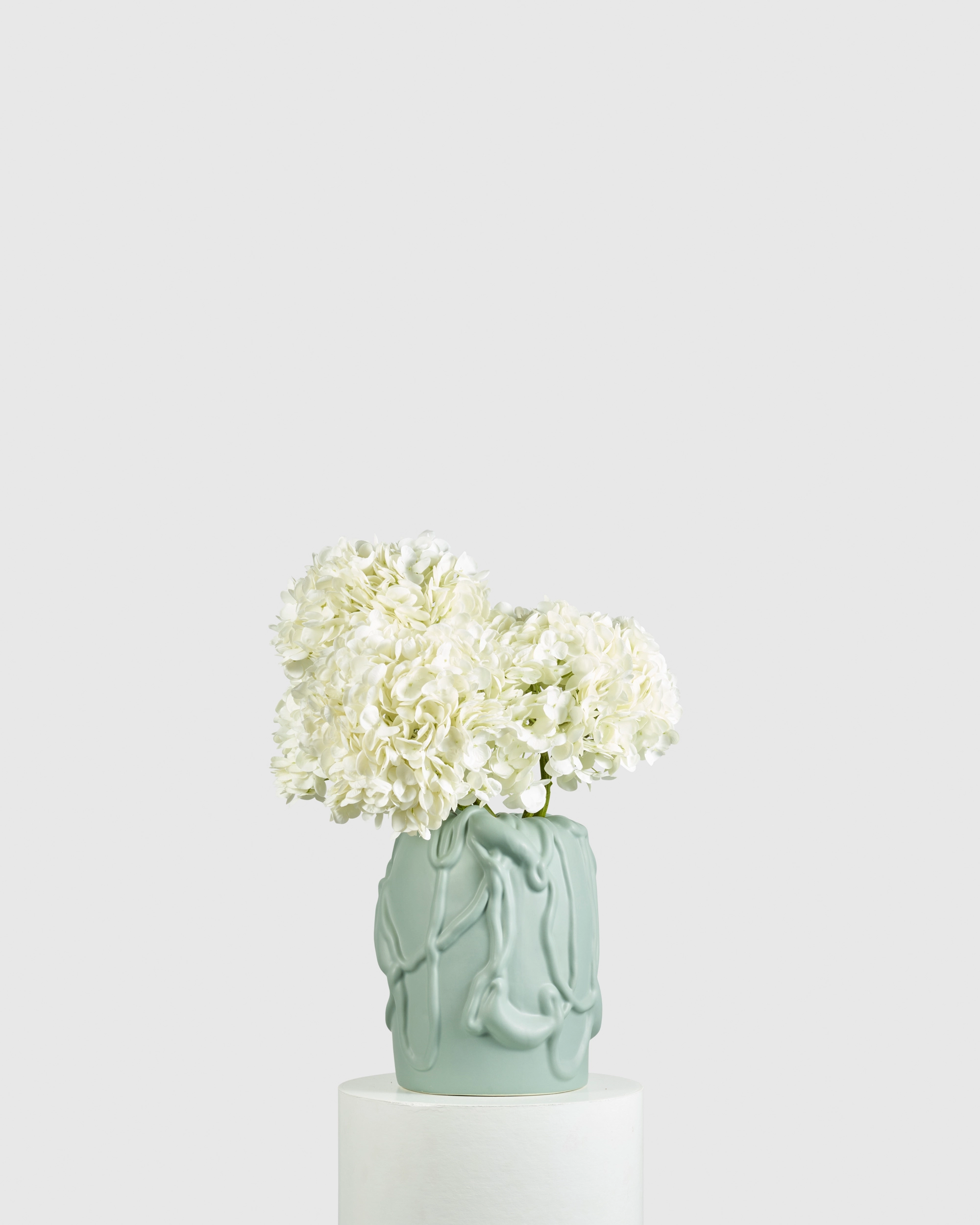 WHITE HYDRANGEA BUNDLE