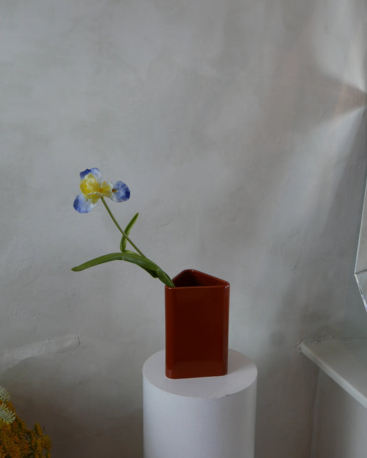 Louisiana Iris - Lake blue