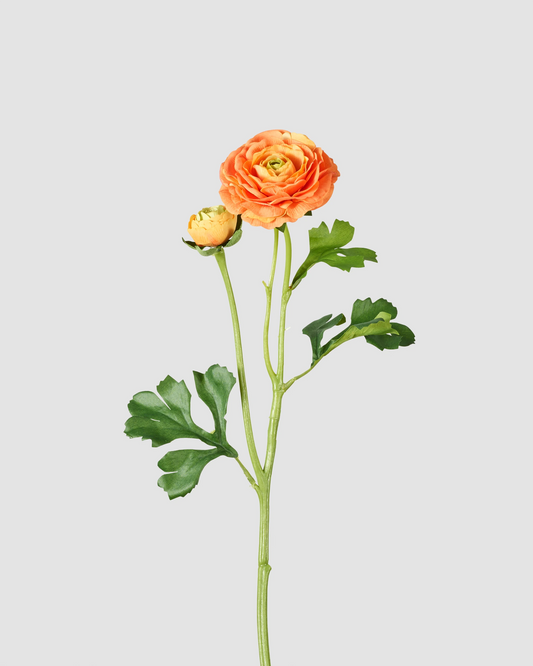 Peony - Orange