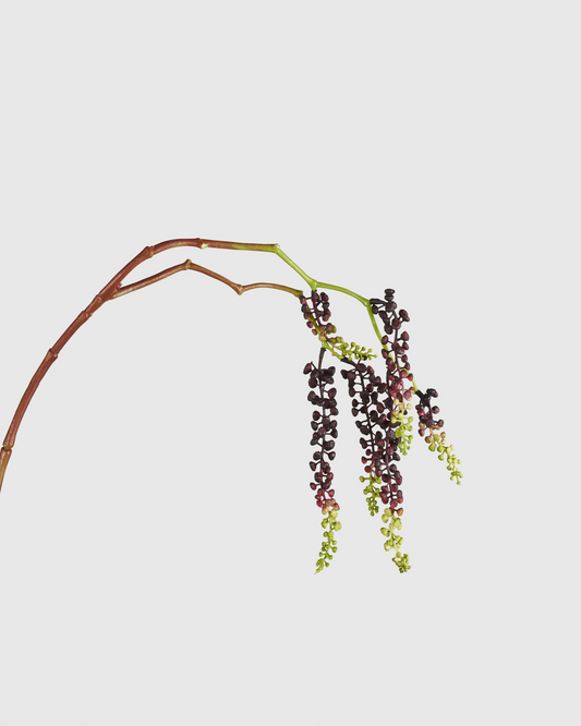 Pokeweed - Purple Black