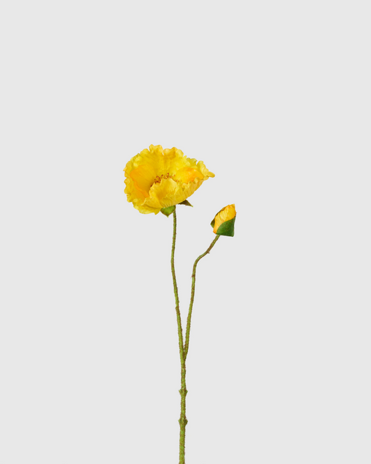 Poppy - Yellow