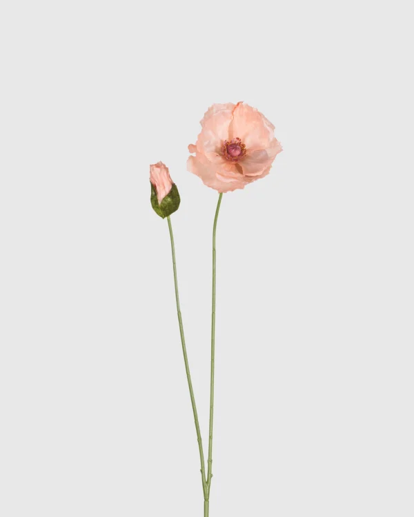 POPPY