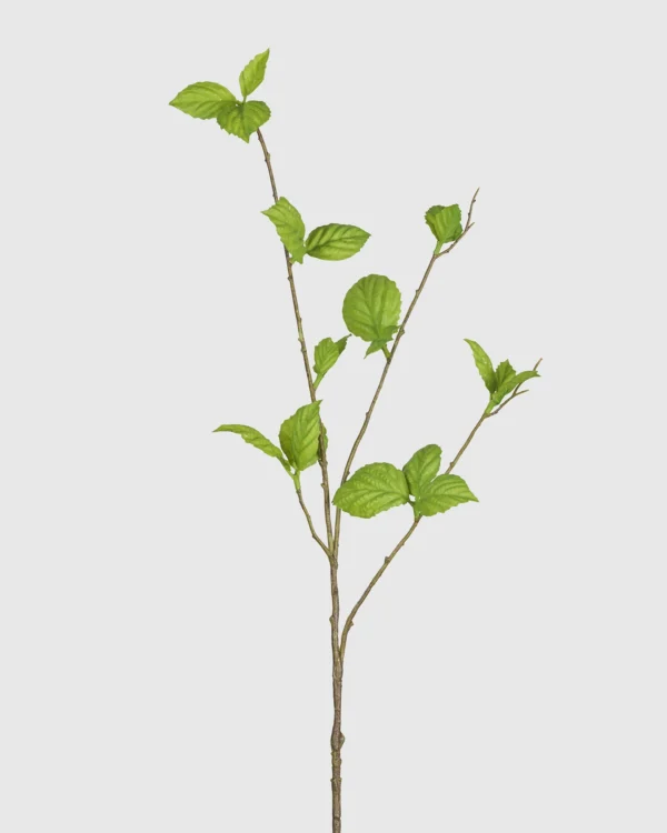 LEAF