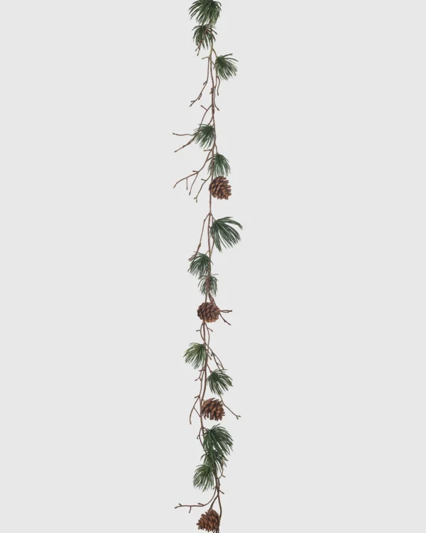 FIR VINE #1