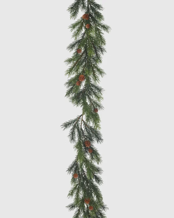 FIR VINE #2