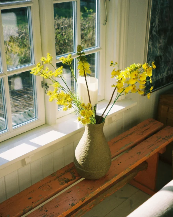 Torch Lily - Image 2