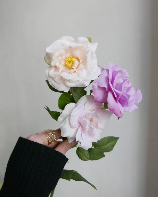 Tea Rose - Image 2