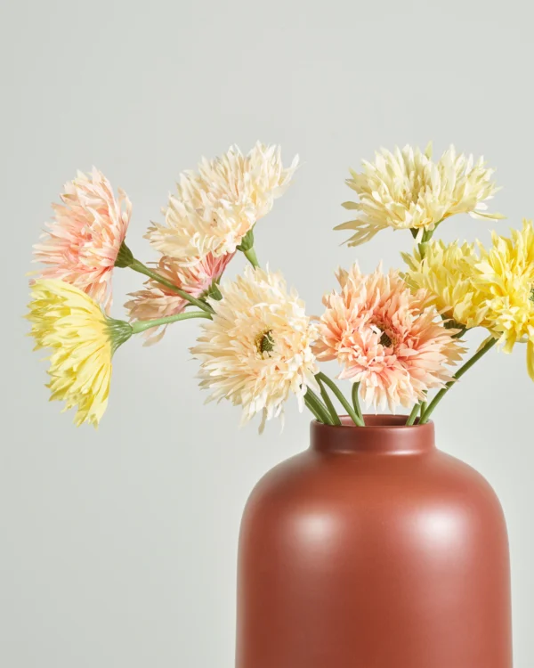 GERBERA SUNSET BUNDLE - Image 2
