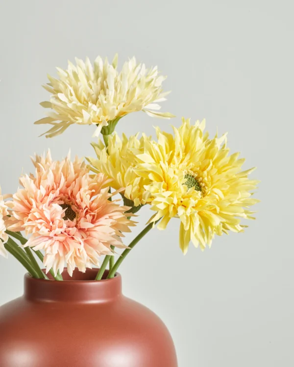 GERBERA SUNSET BUNDLE - Image 3