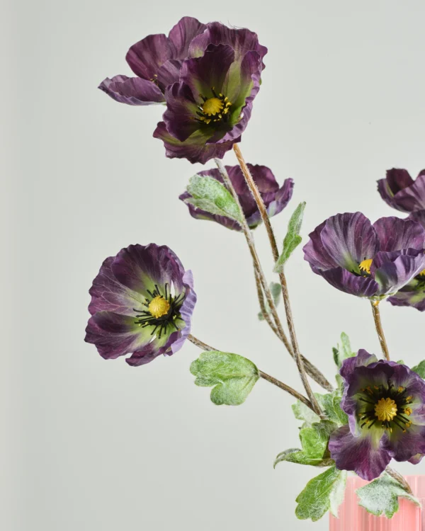 DARK PURPLE POPPY BUNDLE - Image 2