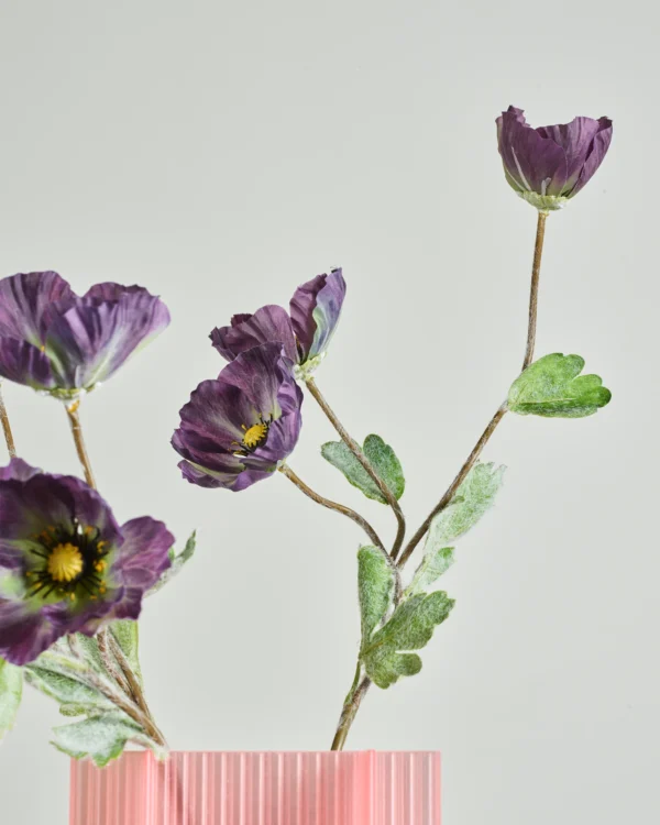 DARK PURPLE POPPY BUNDLE - Image 3